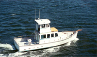 Capt. Dave